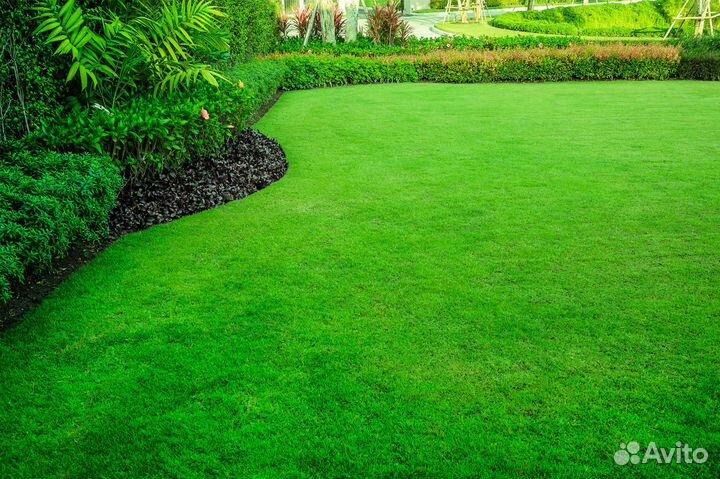 Рулонный газон