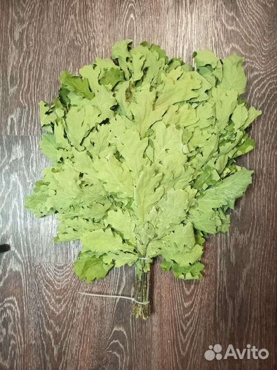 Банные веники