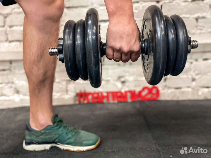 Гантели разборные 21,5 кг каждая, пара, 25 мм