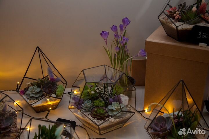 Подарок на 1 сентября. Флорариум учителю