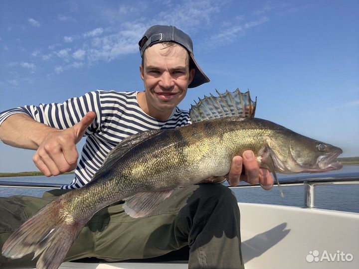 Рыбалка с гидом Иваньковское водохранилище