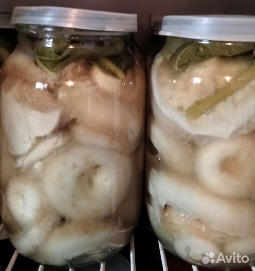 Картофель домашний, сорт Спиридон