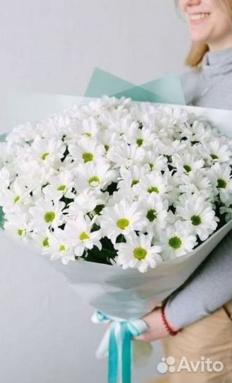 Хризантема Доставка цветов