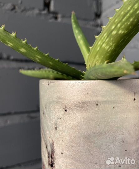 Кашпо для цветов ручной работы