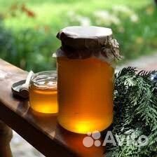 Свежий мед 2023