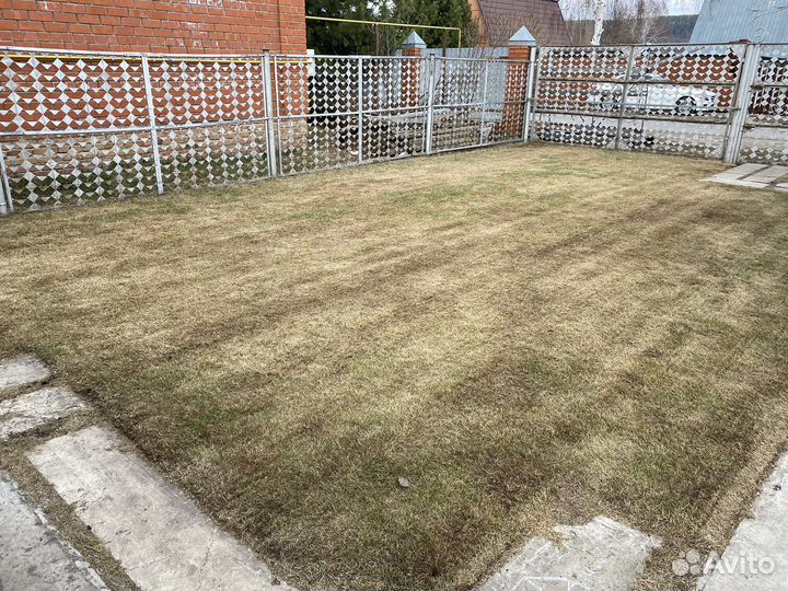 Аэратор - скарификатор