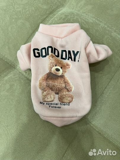 Дождевик и вещи для мелких собак