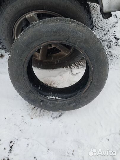 Nokian Tyres Hakkapeliitta 8 185/65 R15