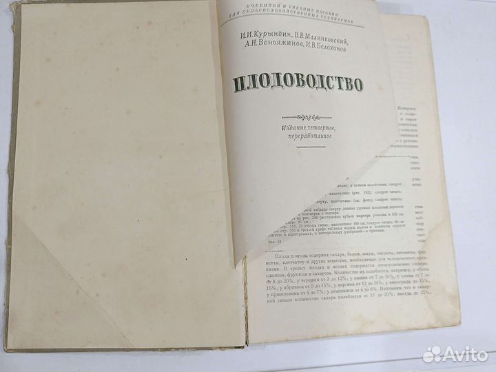 И.Курындин, В.В.Малиновский Плодоводство 1954г