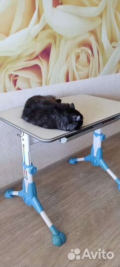 Школьный учебный стол