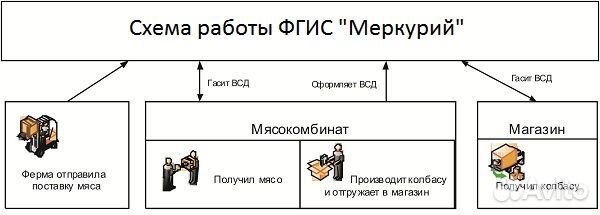 Аттестованный специалист фгис Меркурий (ветис)