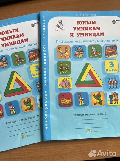 Рабочая тетрадь 3 класс Холодова