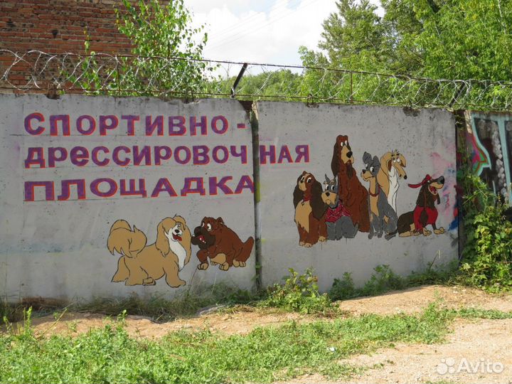 Услуги опытных кинологов