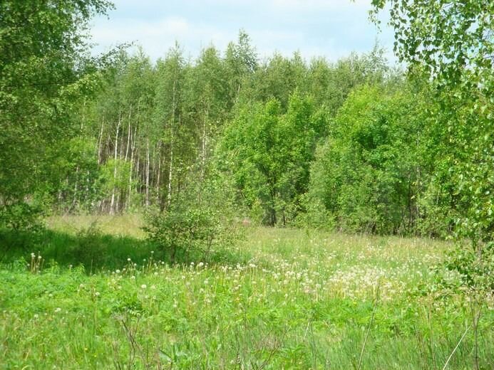 Участок 228,7 га (СНТ, ДНП)