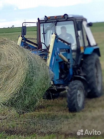 Сено в рулонах 2023