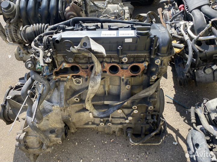 Двигатель qqdb Ford Focus qqdb-8A36041