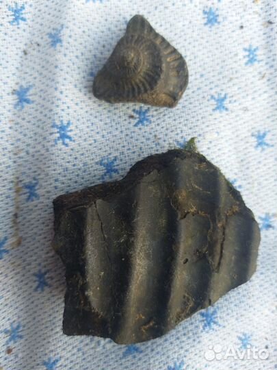 Каменный топор древний