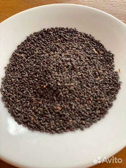 Семена иссопа