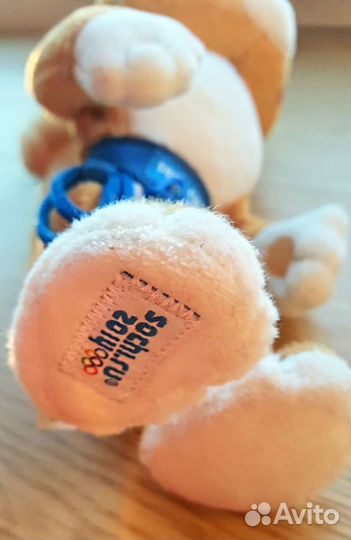 Леопард Сочи 2014