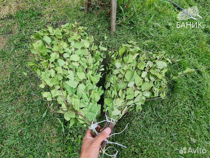 Веник для бани свежий