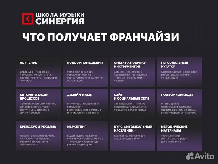 Франшиза школы музыки Синергия в Новосибирске