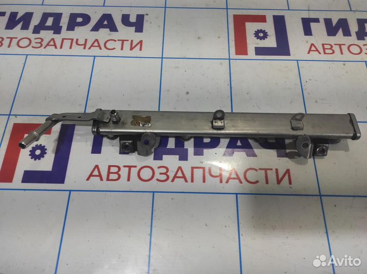 Рейка топливная (рампа) Opel Antara (С145) 1260248