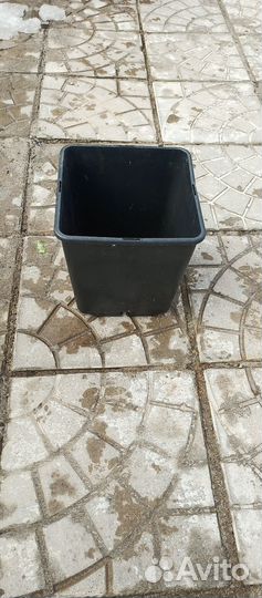 Горшки для рассады бу