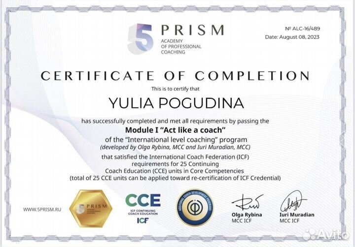 Коуч, Лайф коуч, коучинг