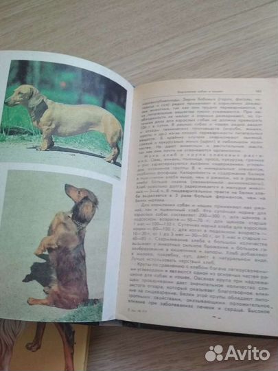 Книги о собаках и их здоровье