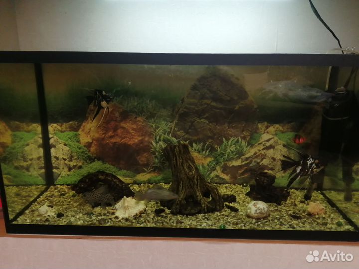 Аквариум