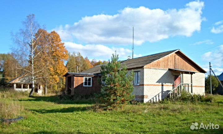 Животноводческая ферма