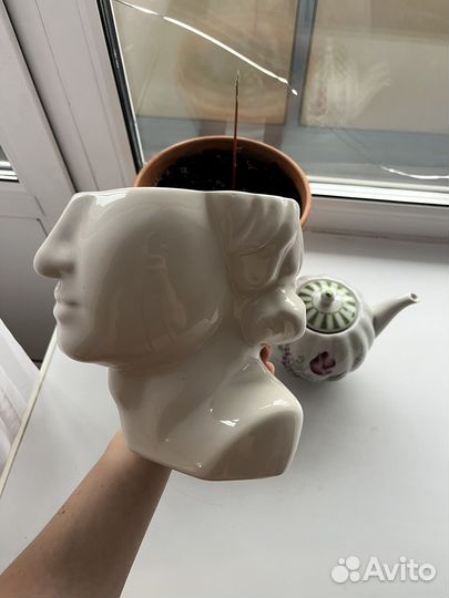 Кашпо/цветочный горшок h&m home