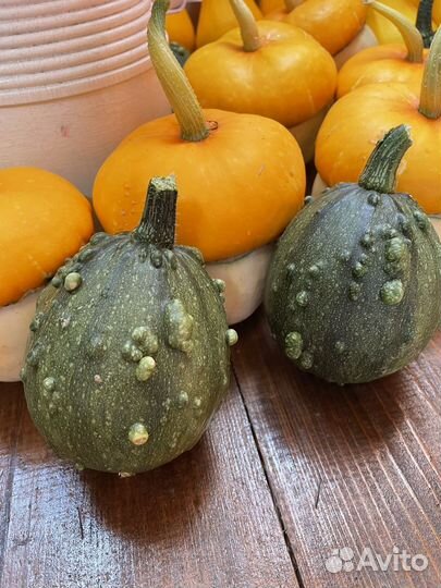 Тыква мини декоративная сухоцветы