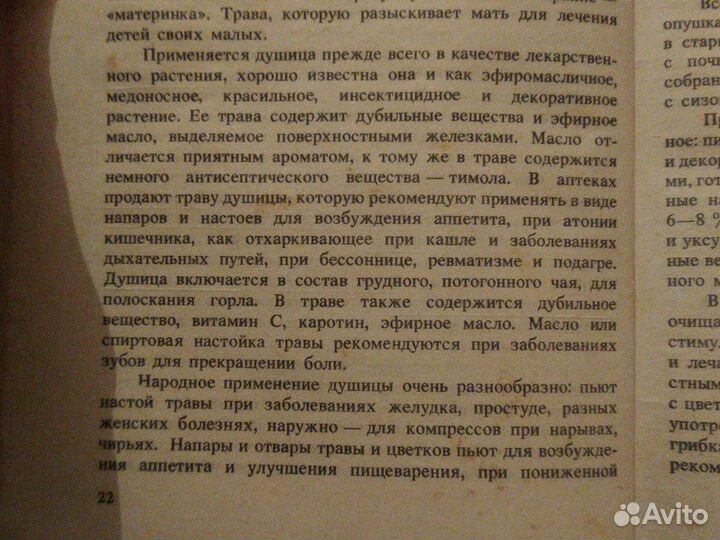 Душица сушеная