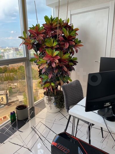 2-к. квартира, 76 м², 24/25 эт.