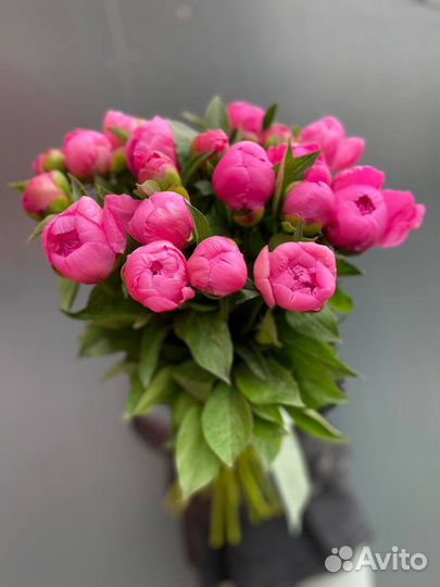Букет из пионов