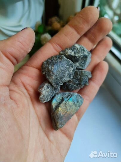 Необработанные кусочки в асс