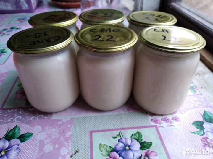 Свиной топлёный жир смалец Псков Остров