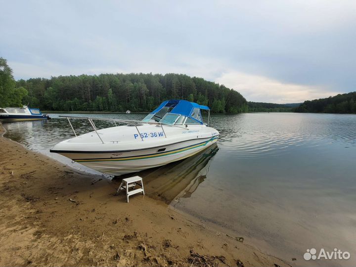 Ambassador 24