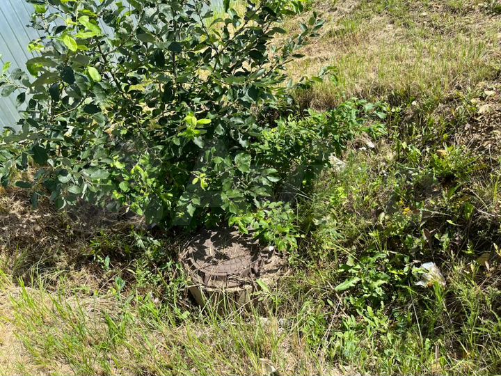 Дача 65 м² на участке 20 сот.