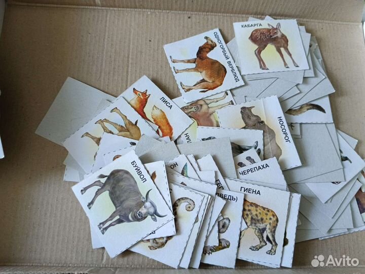 Развивающие игры для детей