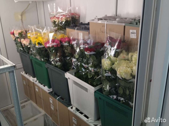 Доставка цветов, букетов, роз