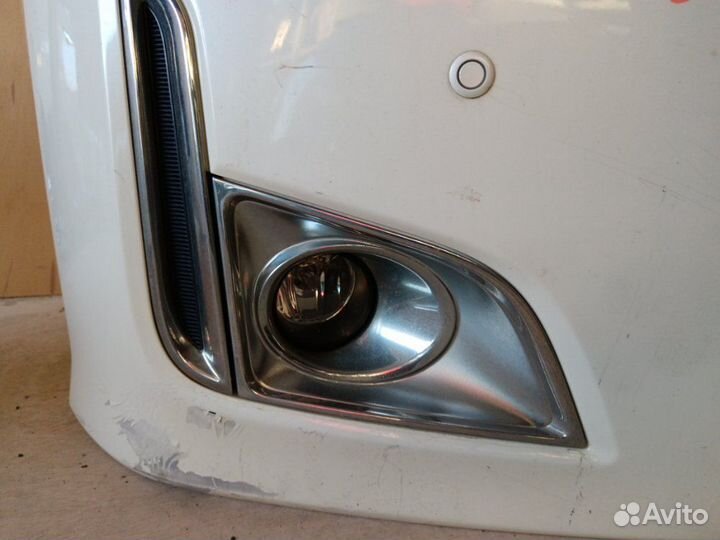 Nose cut Nissan Elgrand TE52 2011