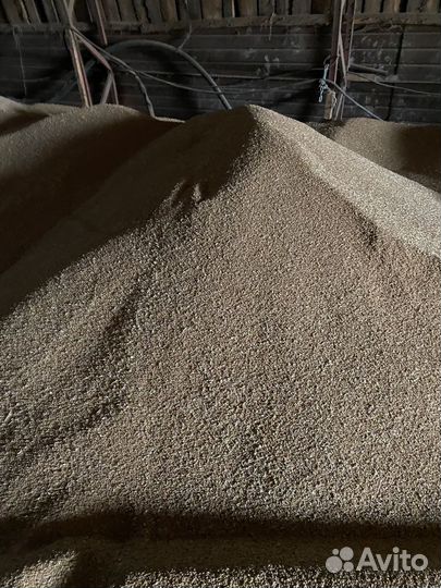 Продам зерно пшеницы
