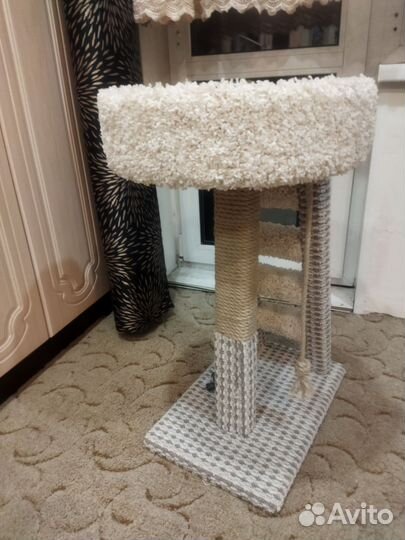 Когтеточка-лесенка