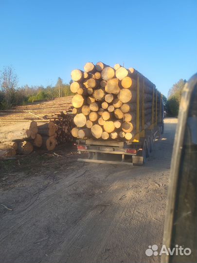 Перевозки леса