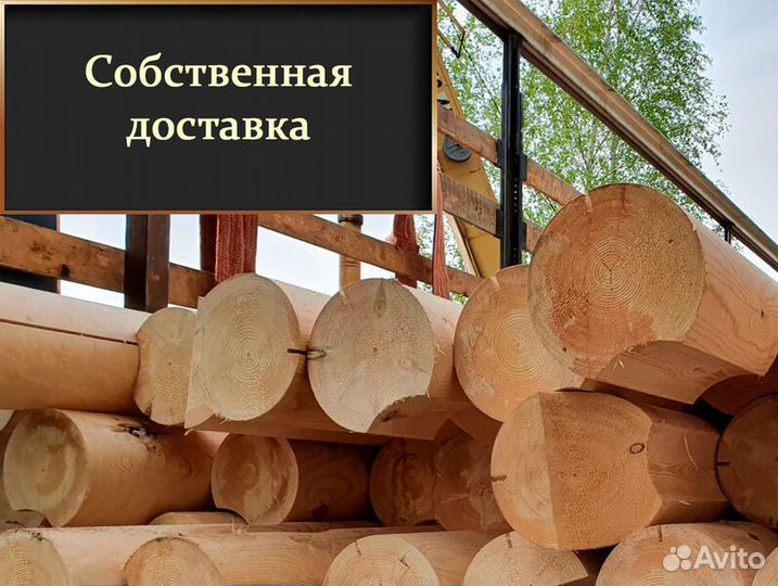 Оцилиндрованное бревно от производителя