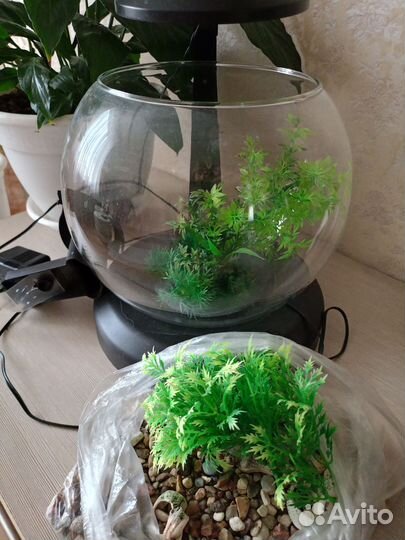 Аквариум круглый с подсветкой