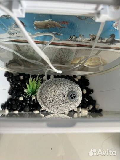 Аквариум Deco O Mini 10 л