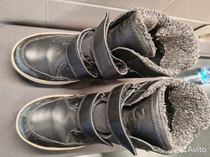 Сапоги зимние Ecco. Размер 36